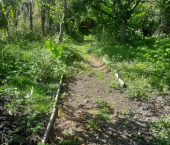 земля 5.45 сот Мичуринский пр-д, 2