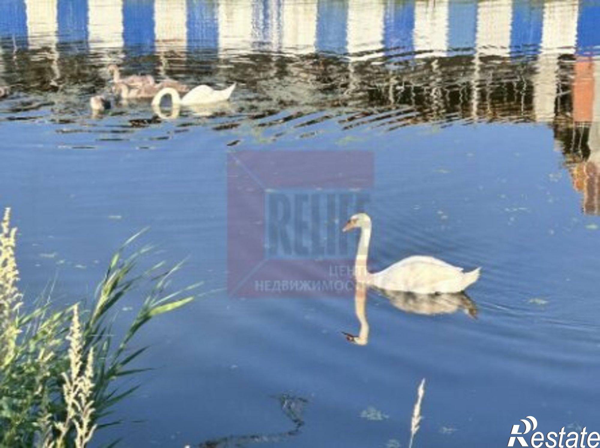 Купить квартиру за 4 250 000 рублей на Тихорецкая улица, 5