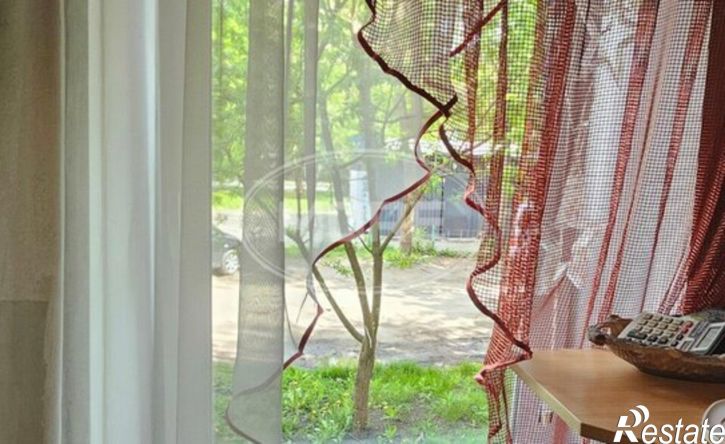 1-комн квартира ул А.Невского, 105А,  д. 105А