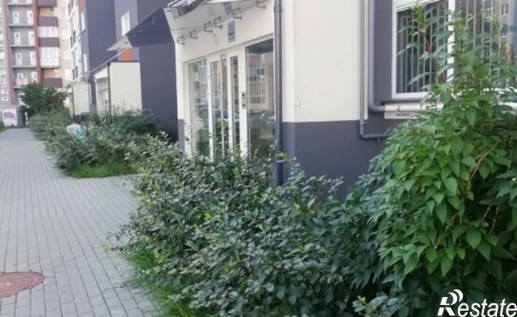1-комн квартира Л.Шевцовой б-р, 52,  д. 52