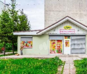 торговое помещение 79 кв м ул Зеленая, 28