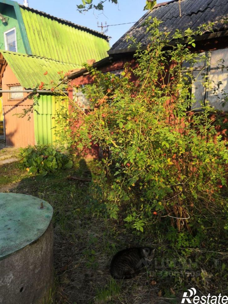 Коттедж/дом пр-д Кинофикации, 352,  д. 352