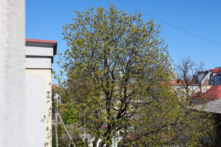 2-комн квартира Менделеева, 30