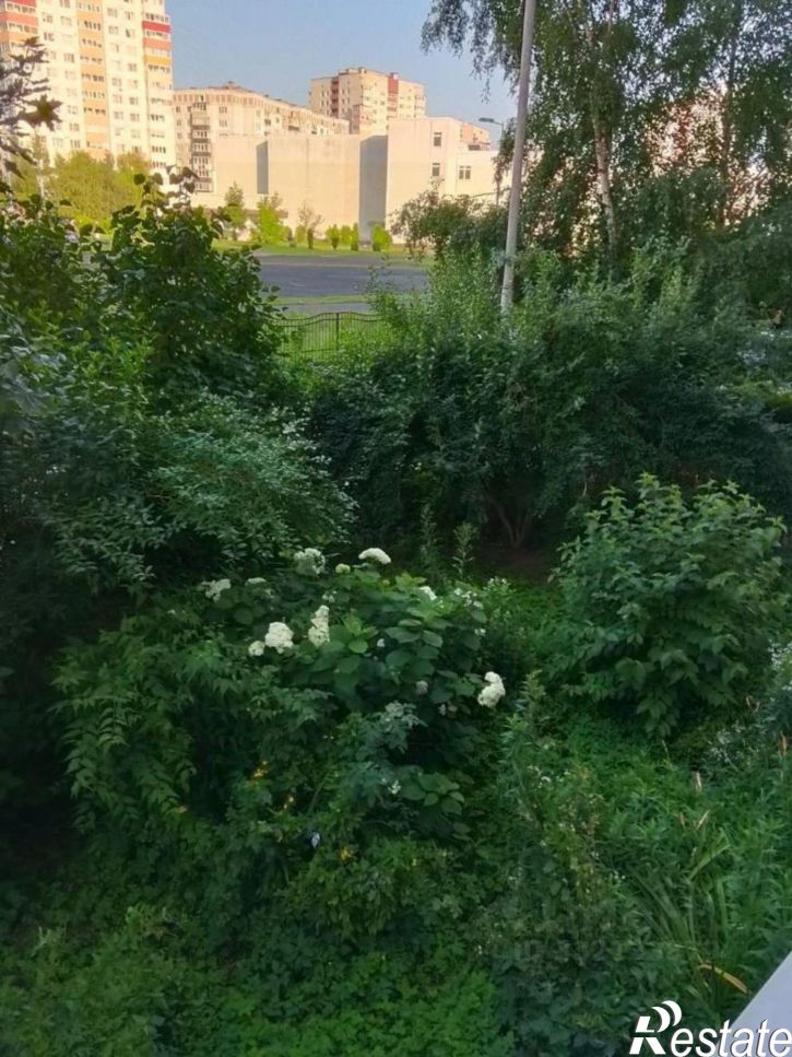 1-комн квартира ул Генерала Челнокова, 38,  д. 38