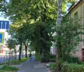 2-комн, 50.4кв м, этаж 1/3 Россия, А.Невского ул, 94