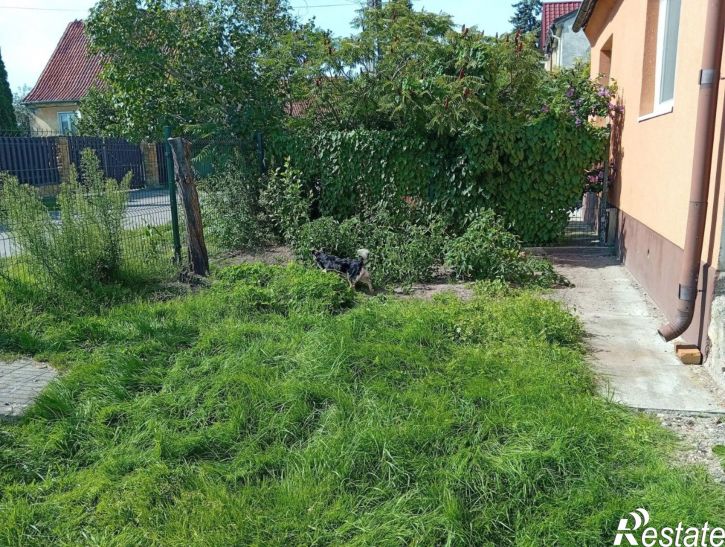1-комн квартира ул Солнечногорская, 25,  д. 25