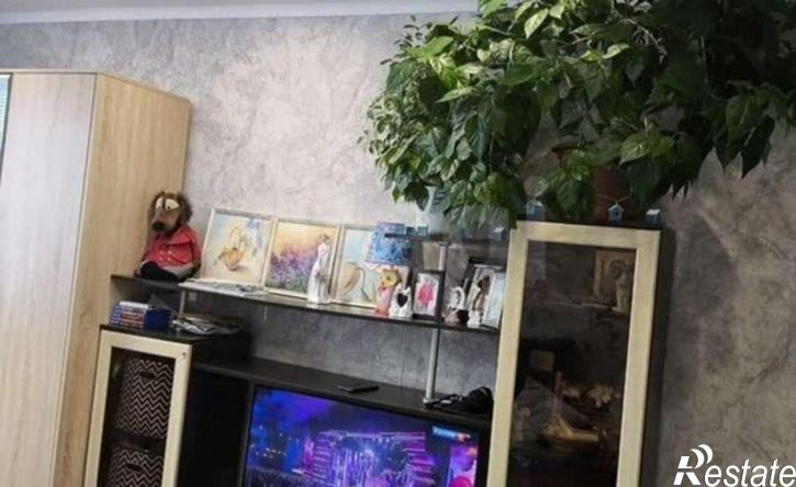 1-комн квартира ул Минусинская, 19,  д. 19