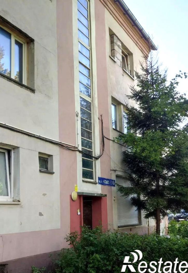 2-комн квартира Россия, А.Невского ул, 92