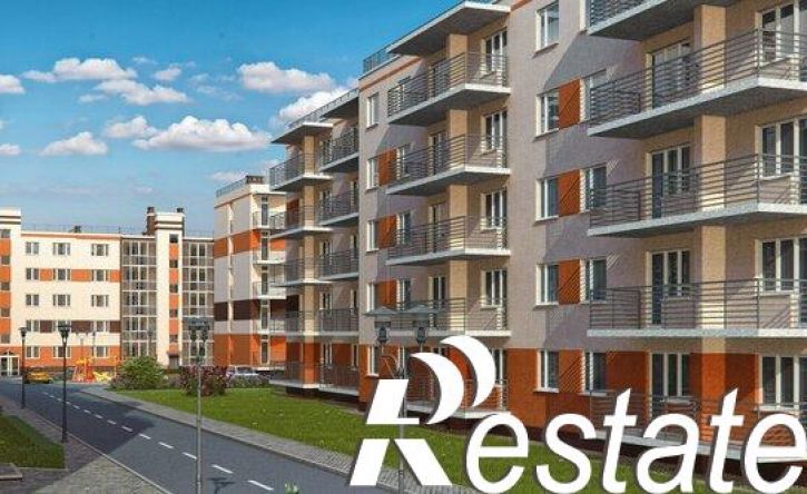 1-комн квартира улица Александра Невского, 273,  д. 273