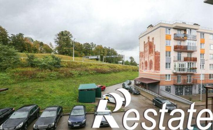 1-комн квартира улица Александра Невского, 259,  д. 259